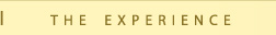 menu experience